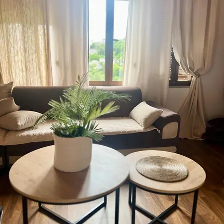 Zere House Polisi i Vogel