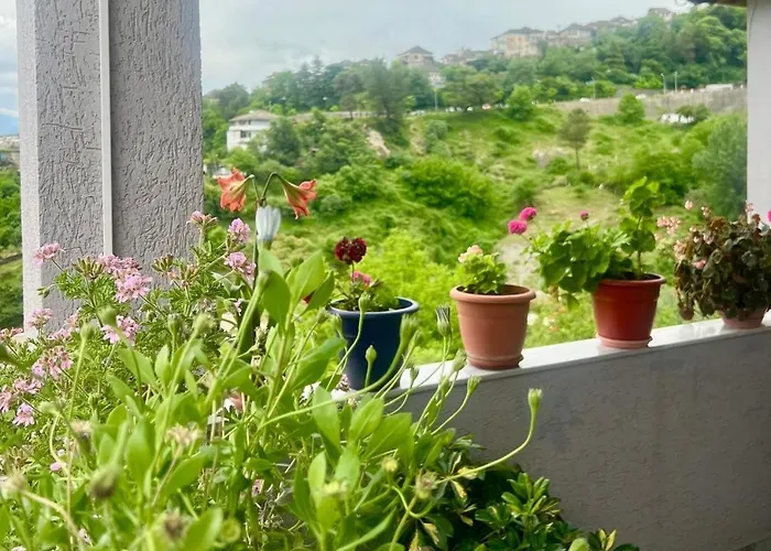 Zere House * Gjirokastra